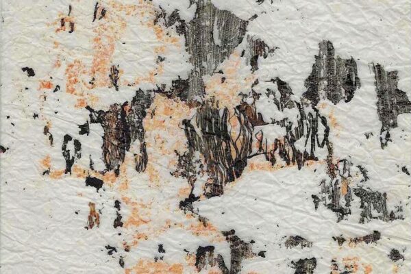 Planche A6.Empreinte Mimi 016