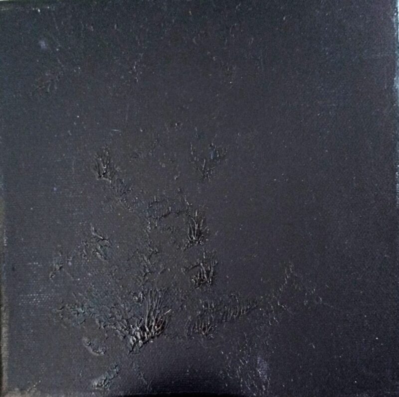 IMG_20221027_1529161